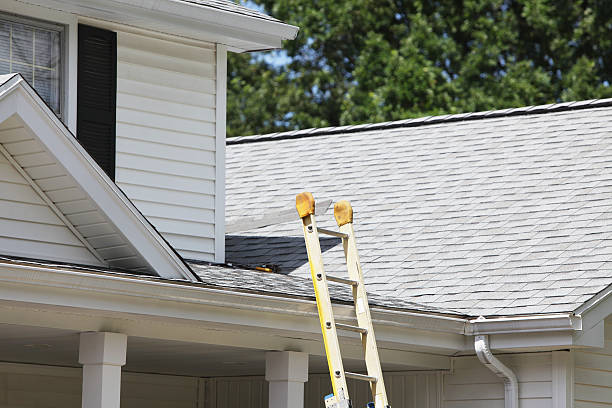 Best Steel Siding Installation  in Covington, GA